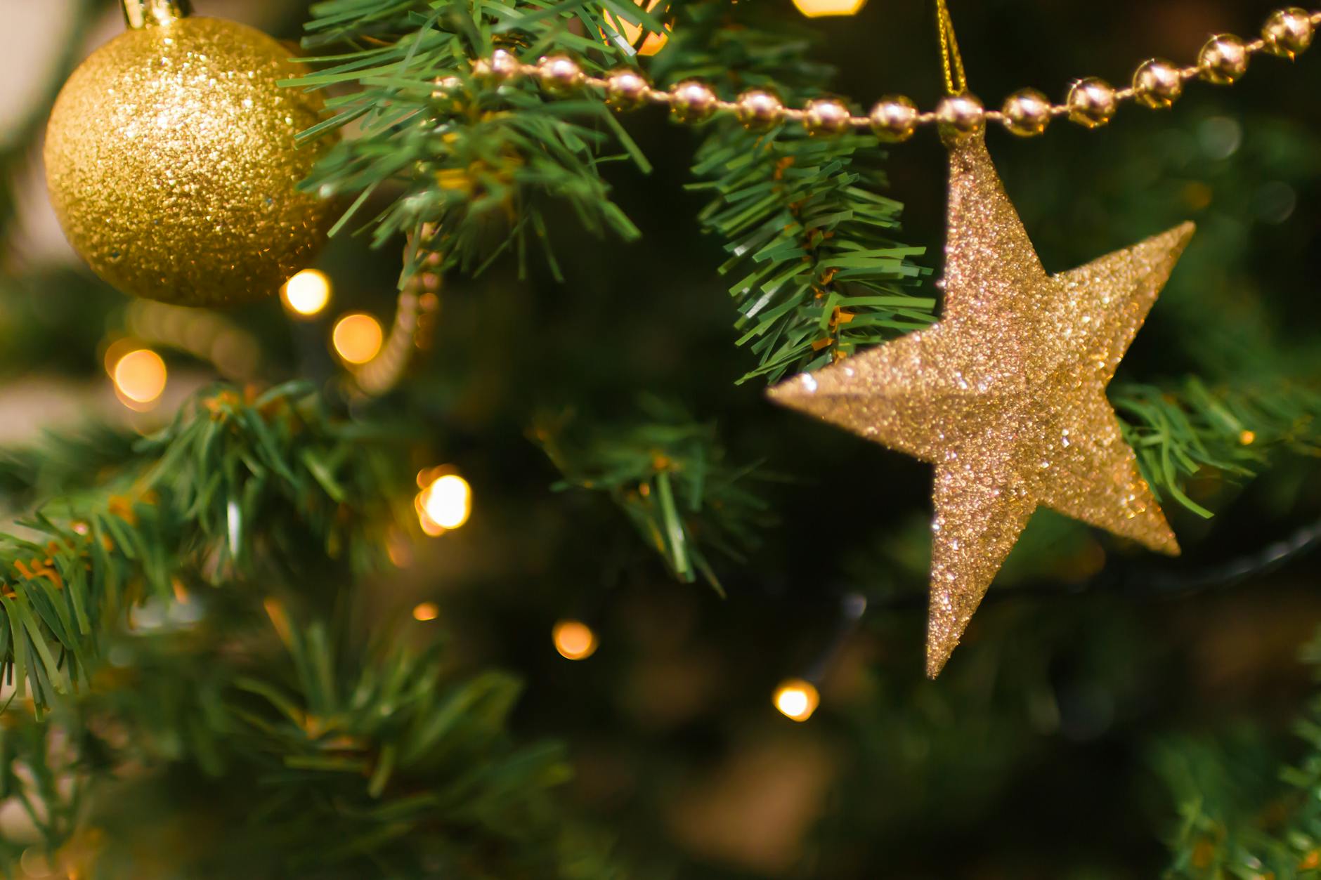 Shining Star: Discovering God’s Surprises this Season