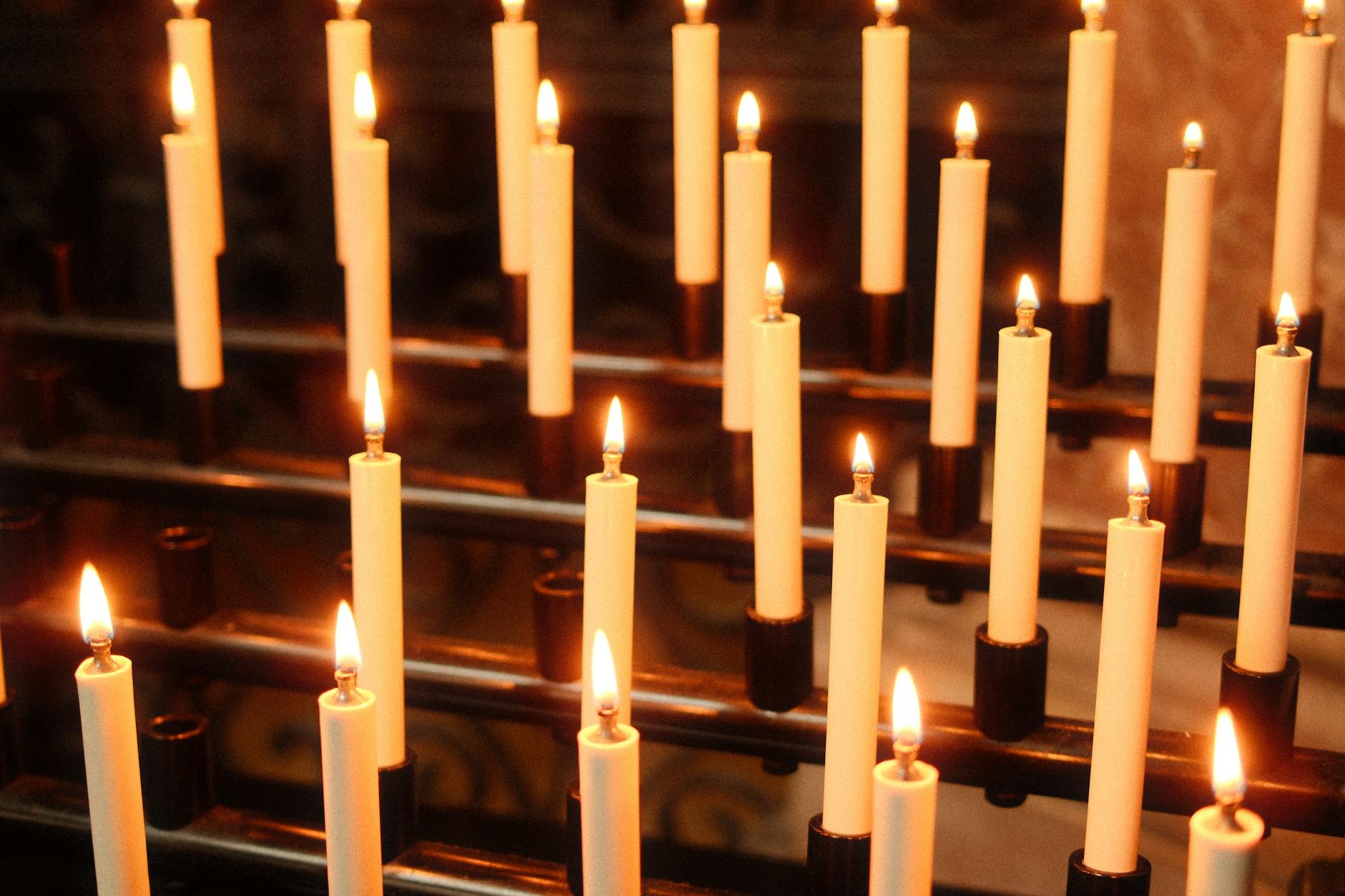 Shine Jesus Shine: Simeon and Anna, Celebrating Light in Darkness