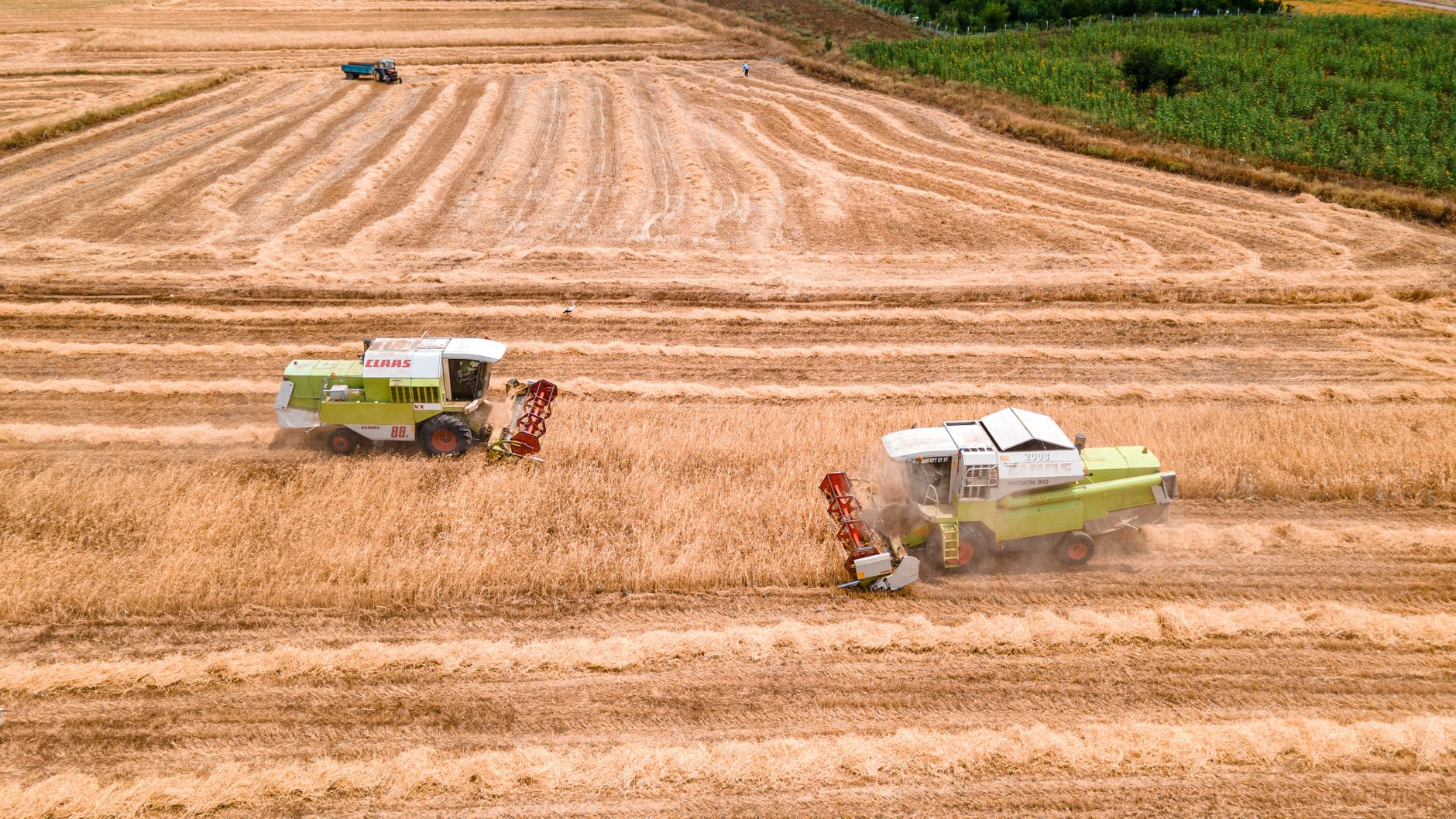 I’ve Got a Brand New Combine Harvester: Separating the Wheat from the Weeds.